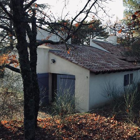 La Maison De Mado Et Sa Cabane Dans Les Arbres Plan d'Aups Ngoại thất bức ảnh