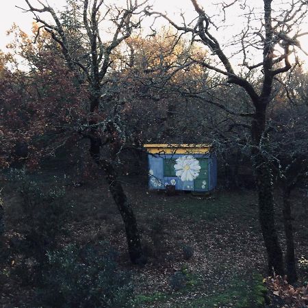 La Maison De Mado Et Sa Cabane Dans Les Arbres Plan d'Aups Ngoại thất bức ảnh