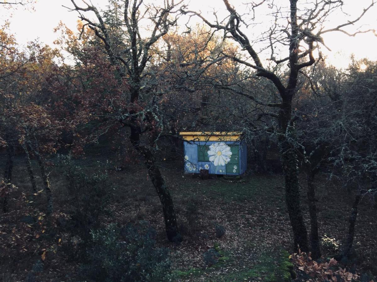 La Maison De Mado Et Sa Cabane Dans Les Arbres Plan d'Aups Ngoại thất bức ảnh