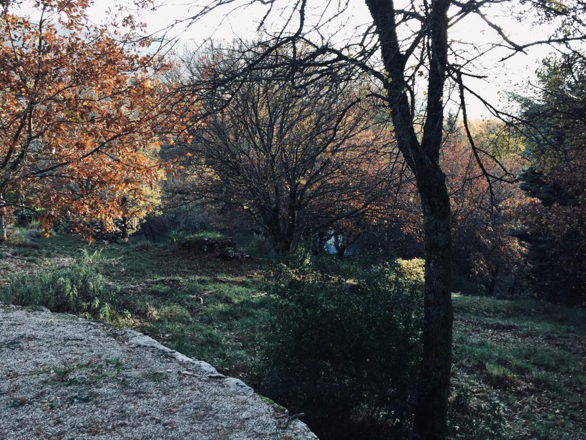 La Maison De Mado Et Sa Cabane Dans Les Arbres Plan d'Aups Ngoại thất bức ảnh