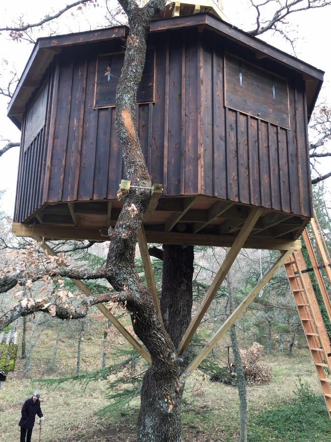 La Maison De Mado Et Sa Cabane Dans Les Arbres Plan d'Aups Ngoại thất bức ảnh